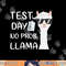 Test Day No Prob-llama Llama Teacher Testing Day png, sublimation copy.jpg