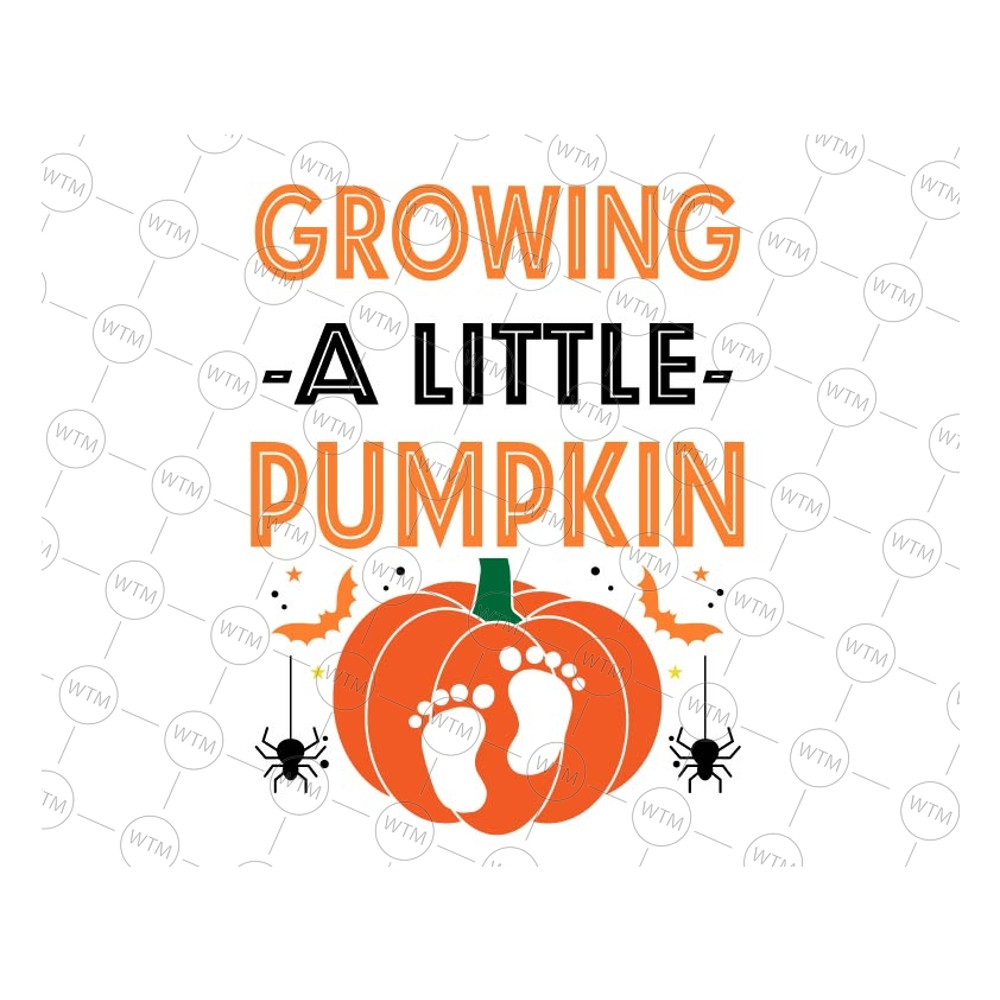 Unicorn Digital WTM_CV_HAL1041.jpg