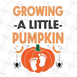 growing little pumpkin svg, halloween pregnancy svg, pregnancy svg, fall svg, fall pregnancy svg digital cut file