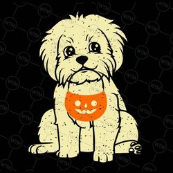 bichon frise ghost svg, halloween svg, dog svg, cute puppy face breed, bichon frise printable, halloween dog lover svg