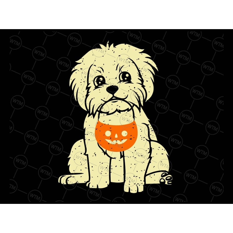 Unicorn Digital WTM_CV_HAL1043.jpg