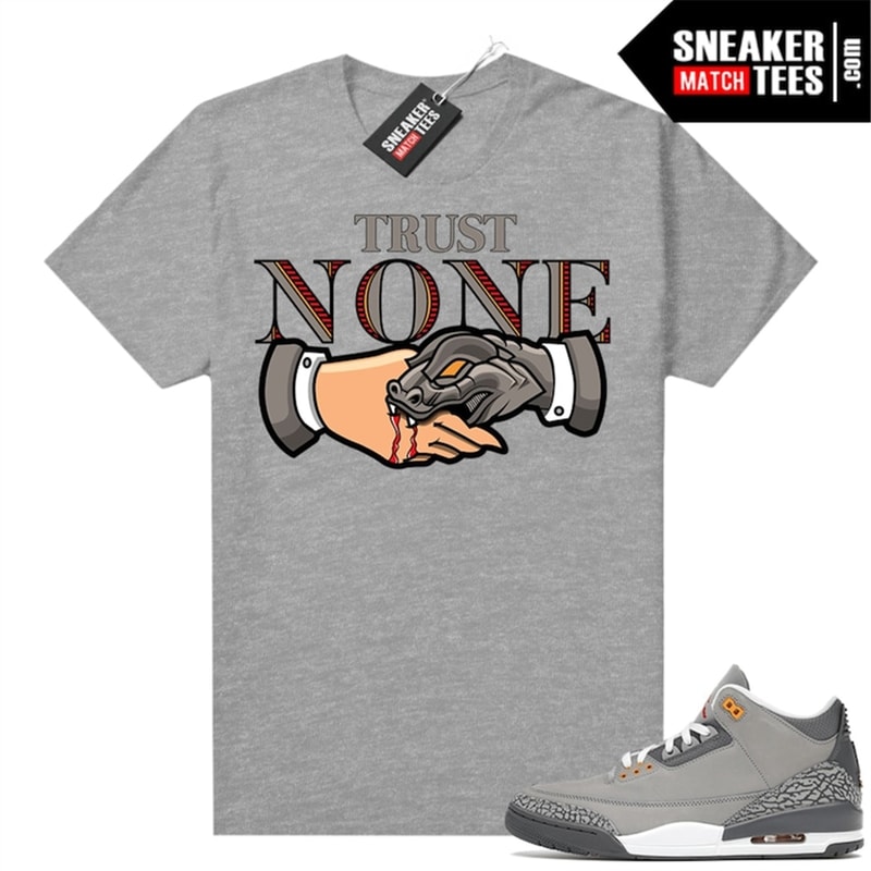 MR-118202314494-cool-grey-3s-to-match-sneaker-match-tees-heather-trust-image-1.jpg