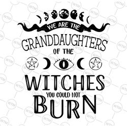 we are the granddaughters of the witches you could not burn svg,instant download, digital file svg,dxf,eps,png