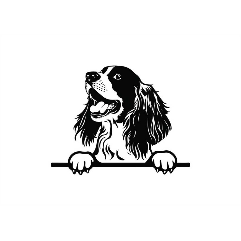 MR-1182023154826-peeking-english-springer-spaniel-svg-peeking-english-springer-image-1.jpg
