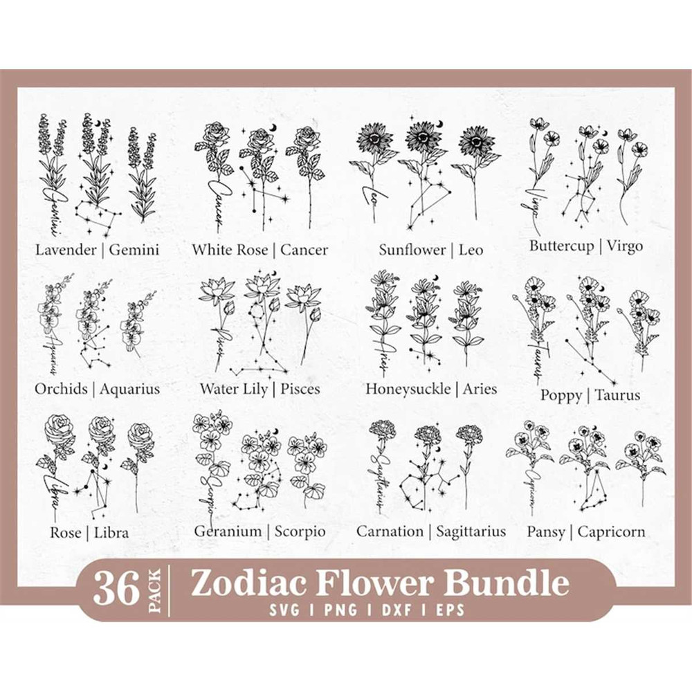 MR-1182023174641-birth-month-flower-svg-bundle-zodiac-svg-bundle-botanical-image-1.jpg