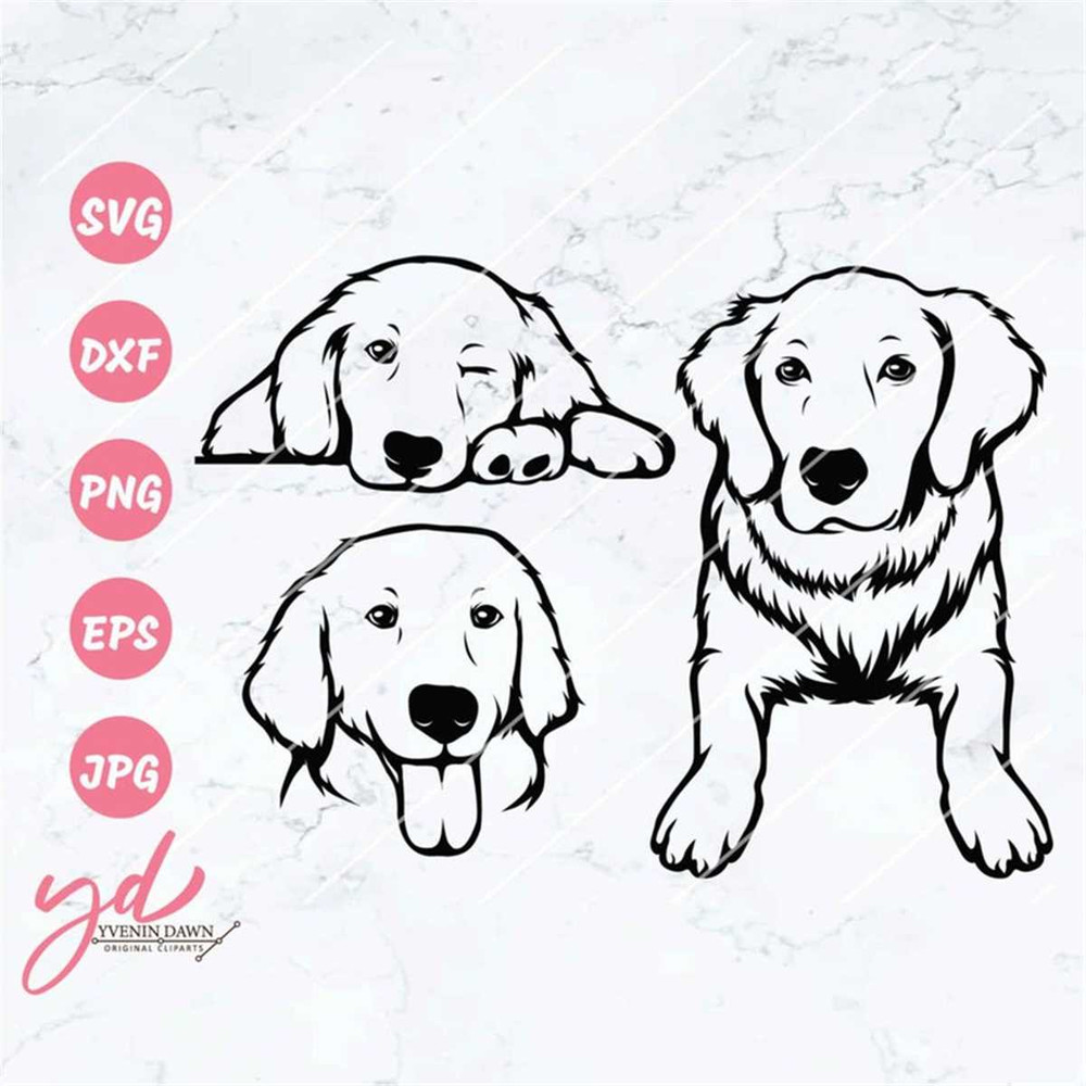 MR-118202318041-golden-retriever-svg-goldie-cute-golden-retriever-svg-image-1.jpg