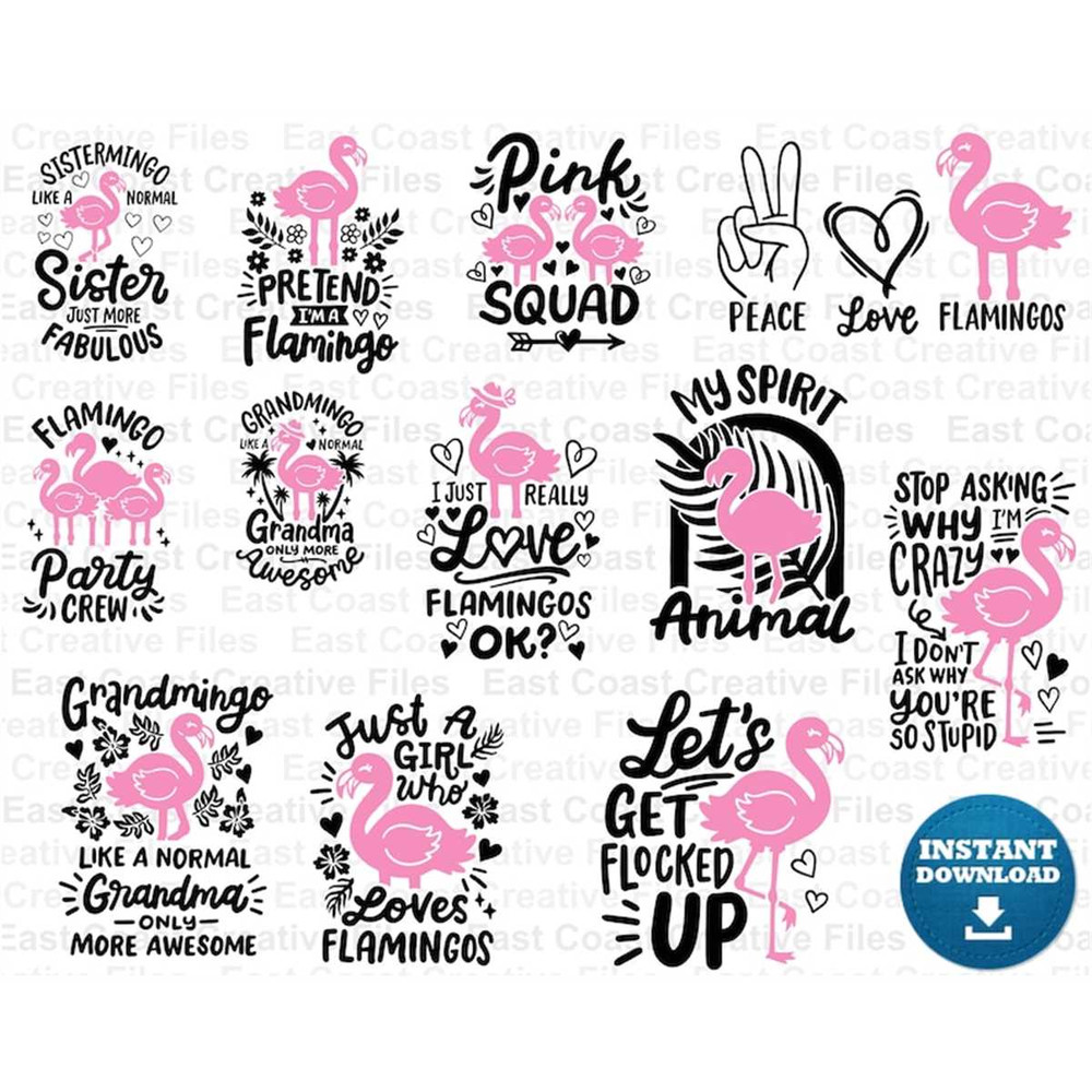 MR-118202318255-flamingo-svg-bundle-flamingo-clipart-and-sublimation-files-image-1.jpg