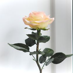Realistic handmade Rose flower for lovely gift for woman and interior decoration. Pretty housewarming gift home decor