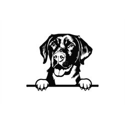 peeking labrador retriever svg, peeking labrador retriever clipart, peeking labrador retriever svg files for cricut