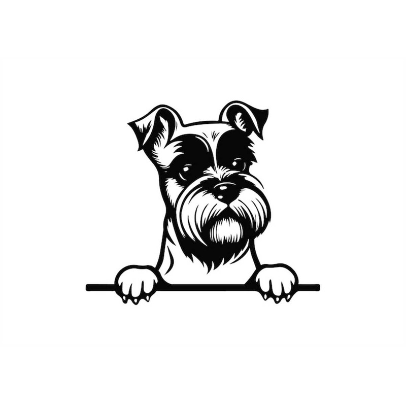 MR-1182023191038-peeking-miniature-schnauzer-svg-peeking-miniature-schnauzer-image-1.jpg
