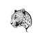 MR-1182023192712-leopard-head-svg-leopard-clipart-leopard-head-svg-cut-file-image-1.jpg