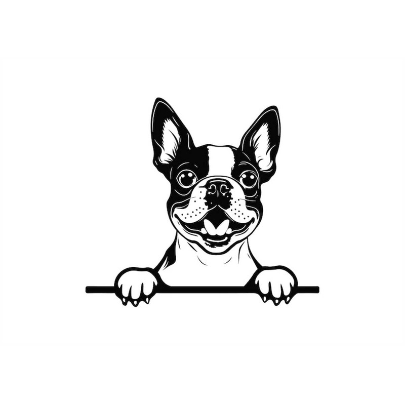 MR-1182023194918-peeking-boston-terrier-svg-peeking-boston-terrier-clipart-image-1.jpg