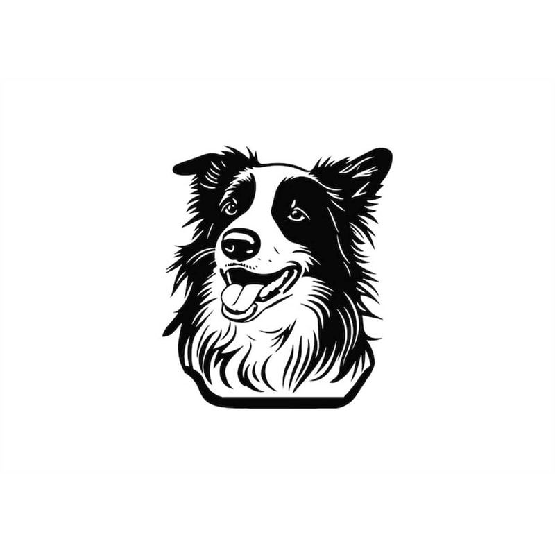 MR-1182023195752-border-collie-head-svg-border-collie-head-clipart-border-image-1.jpg