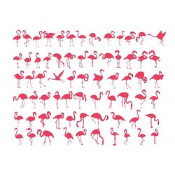 flamingo bundle svg, flamingo clipart, flamingo svg cut files for cricut, flamingo silhouette svg