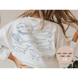 under the sea svg, whale svg, whale nursery svg, sea world svg, line art svg, biology svg, ocean svg, whale shirt svg, w