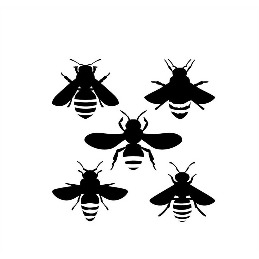 MR-1182023202228-bee-top-view-silhouette-bee-svg-svg-download-file-image-1.jpg