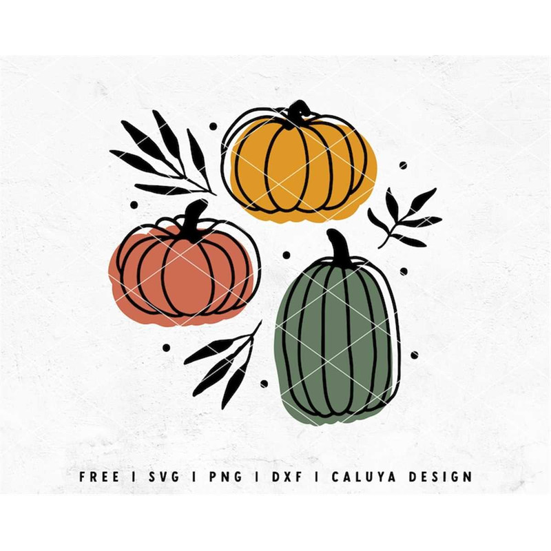 MR-1182023202249-boho-pumpkin-svg-fall-pumpkin-svg-fall-line-art-svg-image-1.jpg