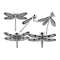 MR-1182023212546-dragonfly-svg-bundle-dragonfly-svg-cut-files-for-cricut-image-1.jpg