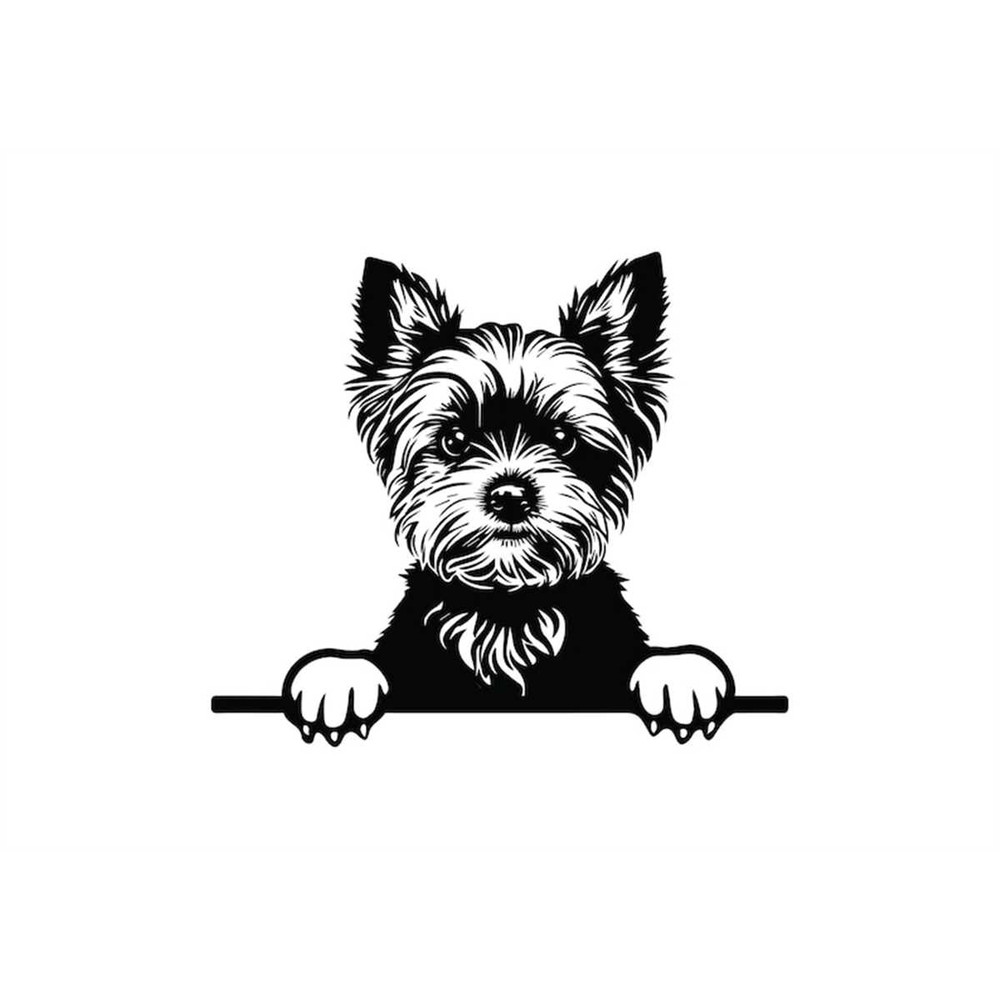MR-118202321520-peeking-yorkshire-terrier-svg-peeking-yorkshire-terrier-svg-image-1.jpg