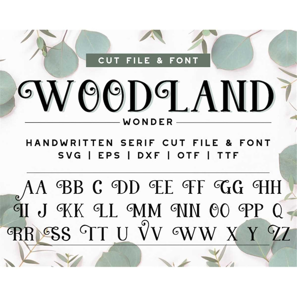 MR-118202322122-handwritten-decorative-serif-font-cricut-font-alphabet-cut-image-1.jpg