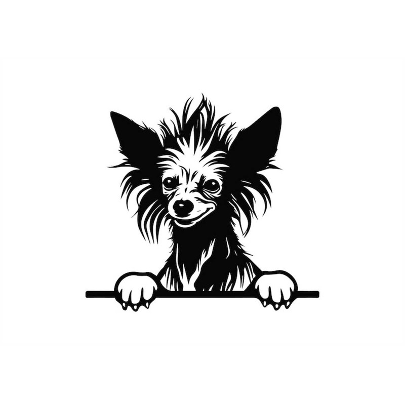 MR-1182023224023-peeking-chinese-crested-svg-peeking-chinese-crested-clipart-image-1.jpg