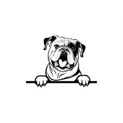 peeking english bulldog svg, peeking english bulldog clipart, peeking english bulldog svg files for cricut