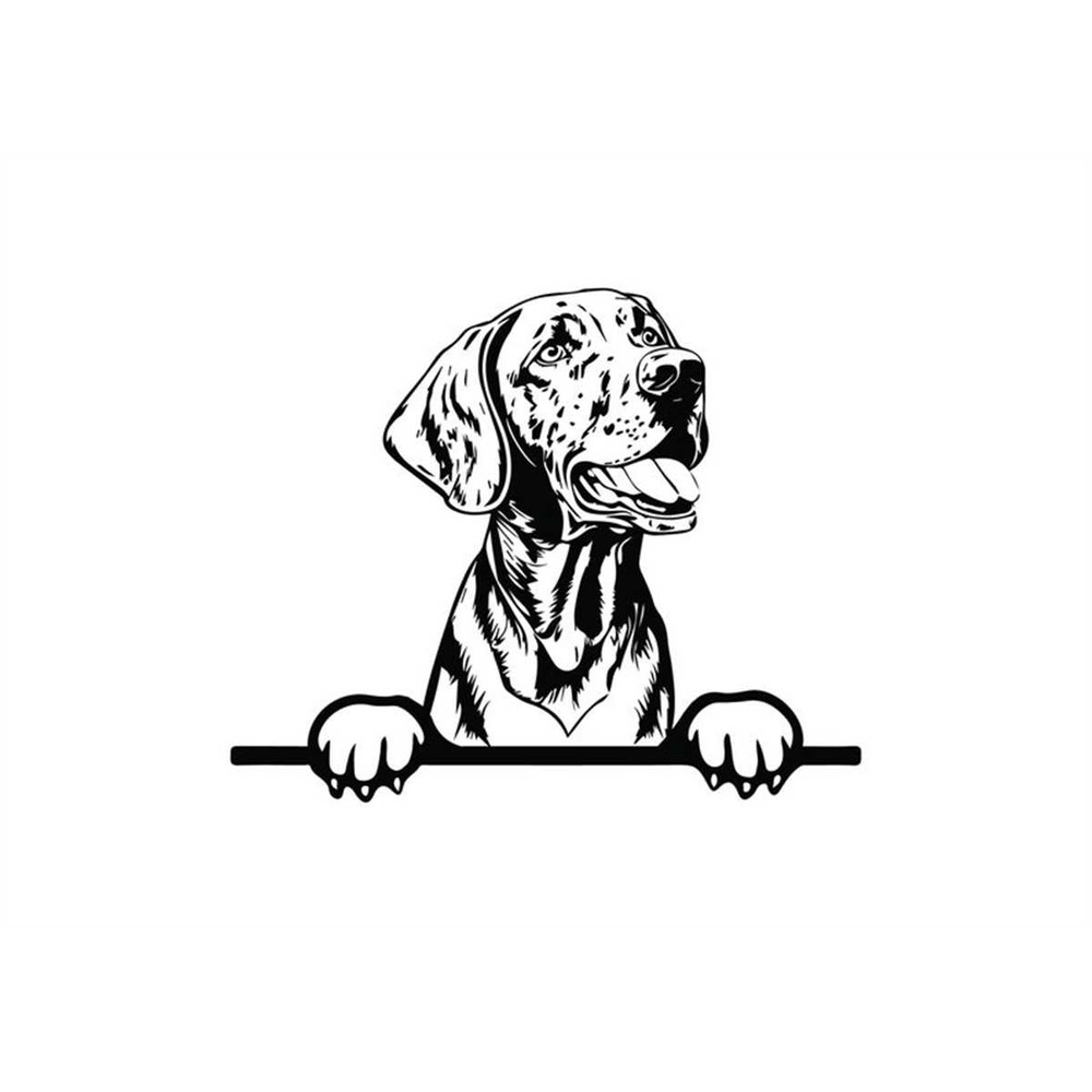 MR-1182023231150-peeking-vizsla-svg-peeking-vizsla-clipart-peeking-vizsla-svg-image-1.jpg
