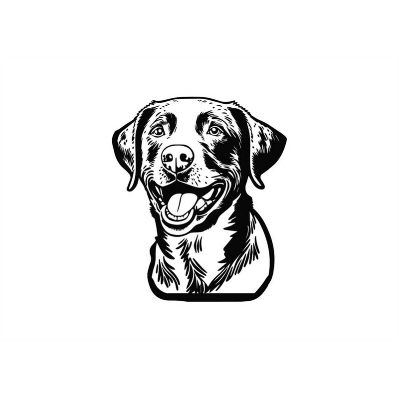 MR-1182023231240-chesapeake-bay-retriever-head-svg-chesapeake-bay-retriever-image-1.jpg