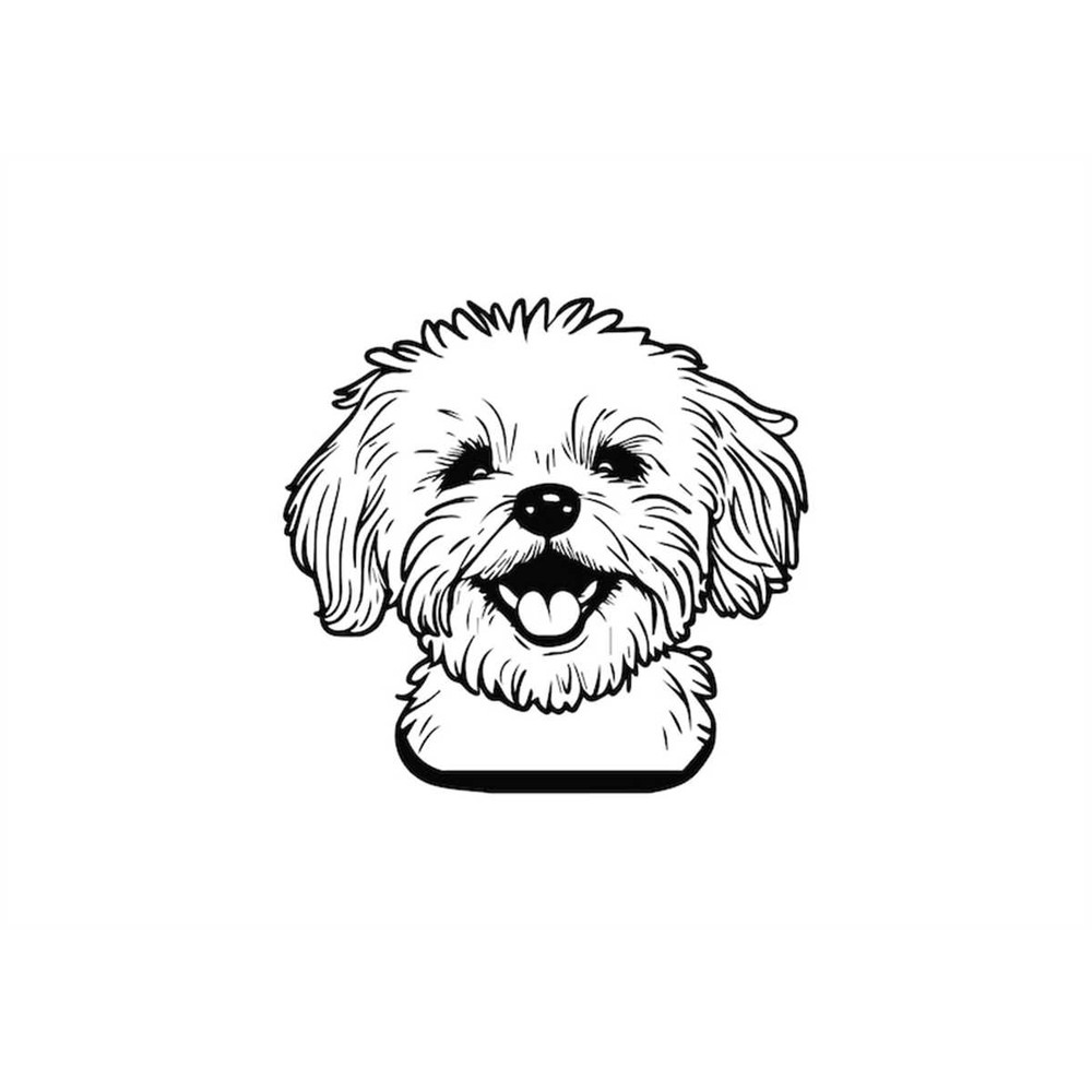 MR-1182023233731-maltese-head-svg-maltese-head-clipart-maltese-head-svg-files-image-1.jpg