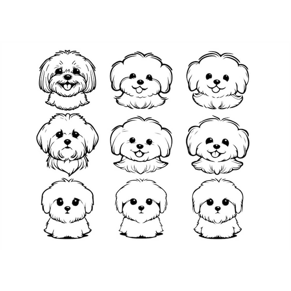 MR-12820230552-bichon-frise-svg-bichon-frise-clipart-bichon-frise-svg-files-image-1.jpg