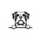 MR-128202303034-peeking-bulldog-svg-peeking-bulldog-clipart-peeking-bulldog-image-1.jpg
