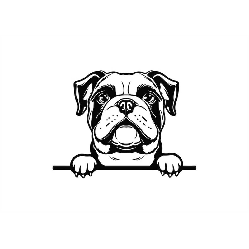 MR-128202303034-peeking-bulldog-svg-peeking-bulldog-clipart-peeking-bulldog-image-1.jpg