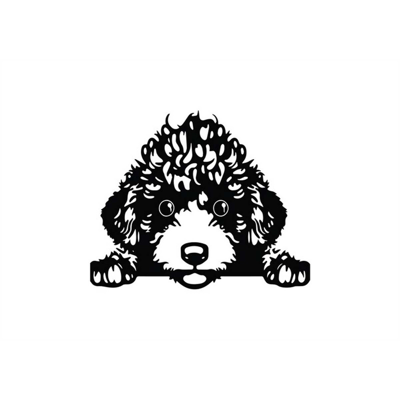 MR-128202303233-poodle-svg-poodle-clipart-poodle-svg-cut-files-for-cricut-image-1.jpg