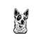MR-128202303514-red-heeler-head-svg-red-heeler-head-clipart-red-heeler-dog-image-1.jpg