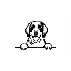 peeking saint bernard svg, peeking saint bernard clipart, peeking saint bernard svg files for cricut