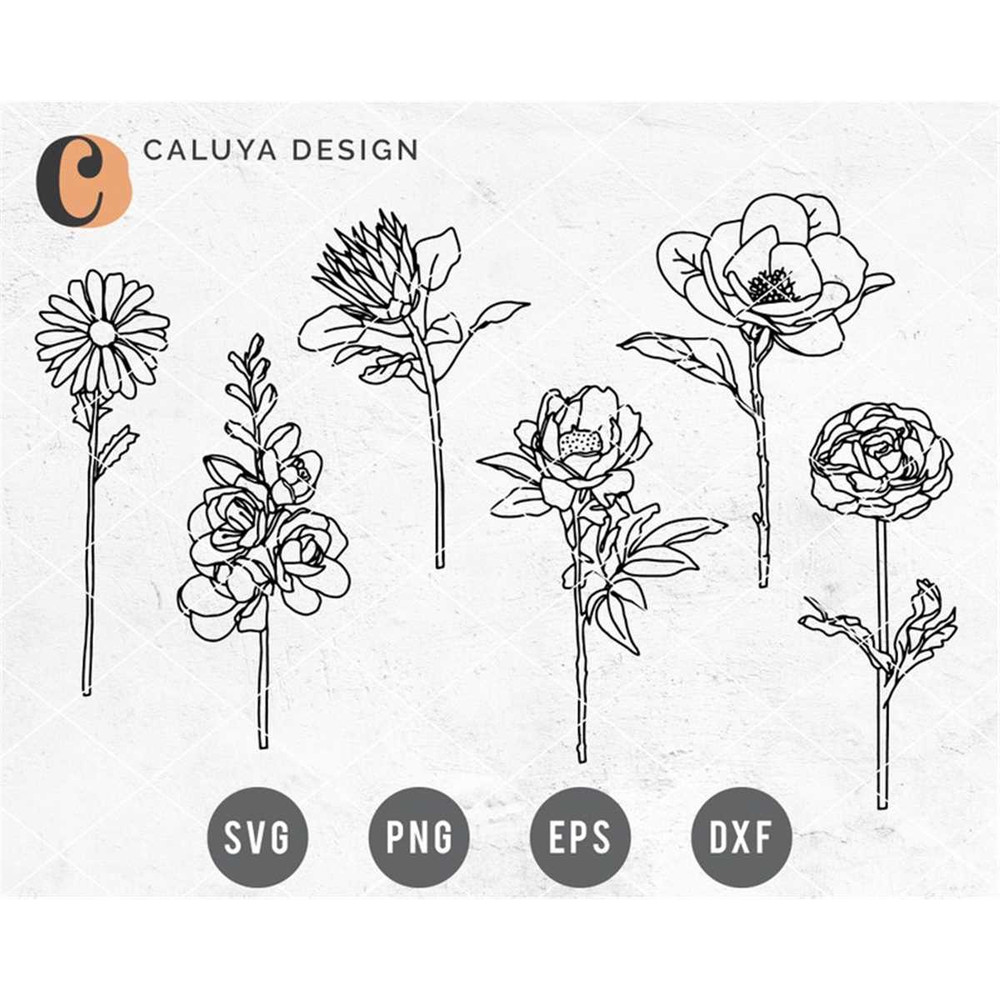 MR-12820230519-hand-drawn-flower-svg-flower-line-art-svg-botanical-svg-image-1.jpg