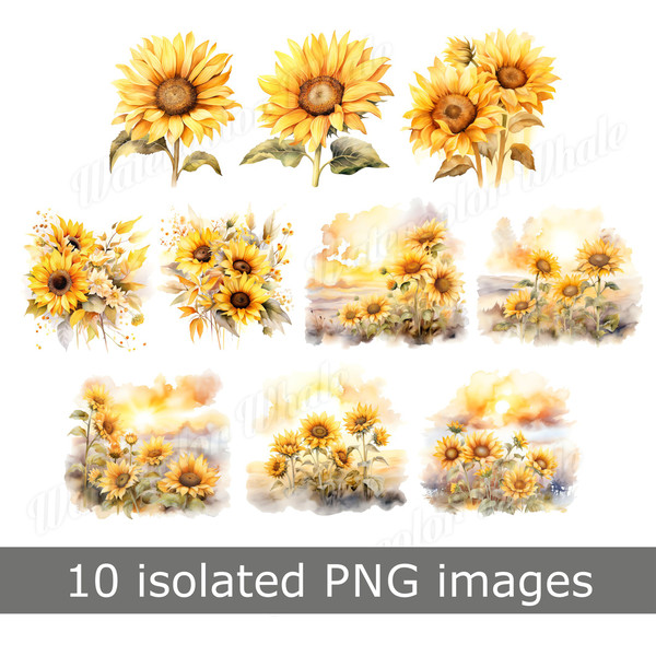 cute-sunflower-watercolour-clipart-images-png-transparent.jpg