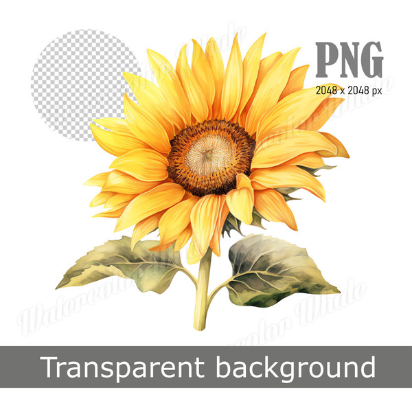 realistic-golden-sunflower-clipart-transparent-background.jpg