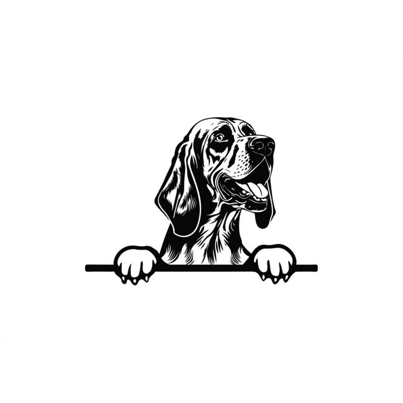 MR-128202311930-peeking-bloodhound-svg-peeking-bloodhound-clipart-peeking-image-1.jpg