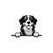 MR-128202313053-peeking-bernese-mountain-svg-peeking-bernese-mountain-image-1.jpg