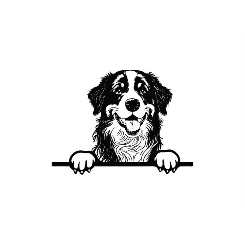 MR-128202313053-peeking-bernese-mountain-svg-peeking-bernese-mountain-image-1.jpg