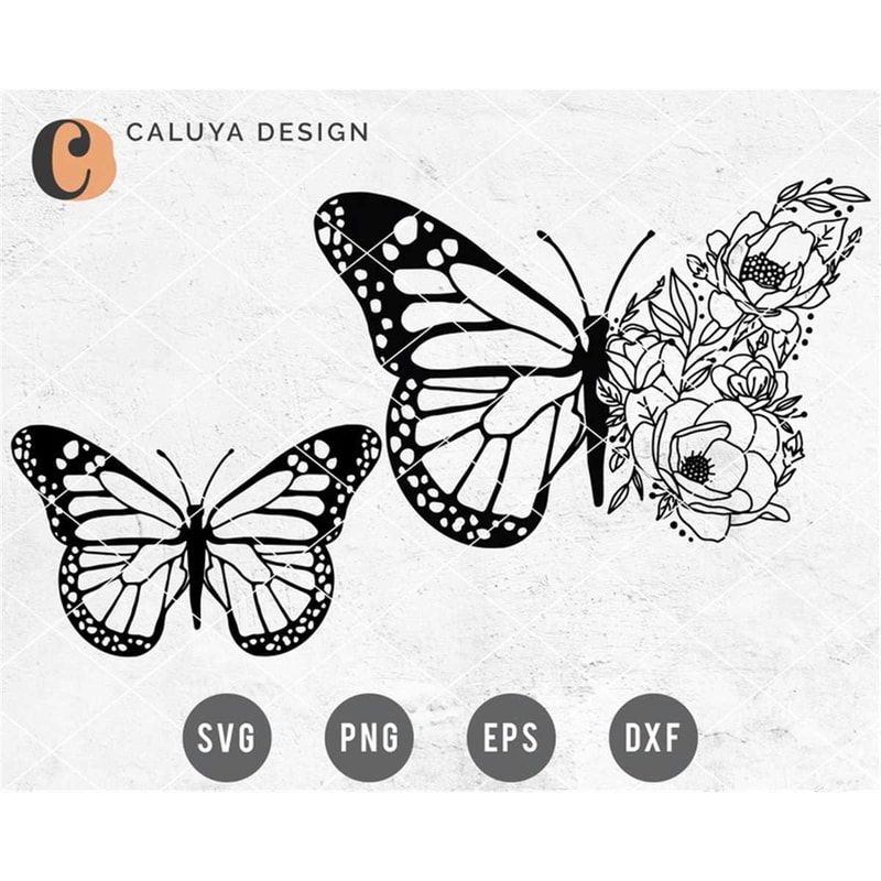 MR-128202314426-hand-drawn-floral-butterfly-svg-cut-file-for-cameo-silhouette-image-1.jpg