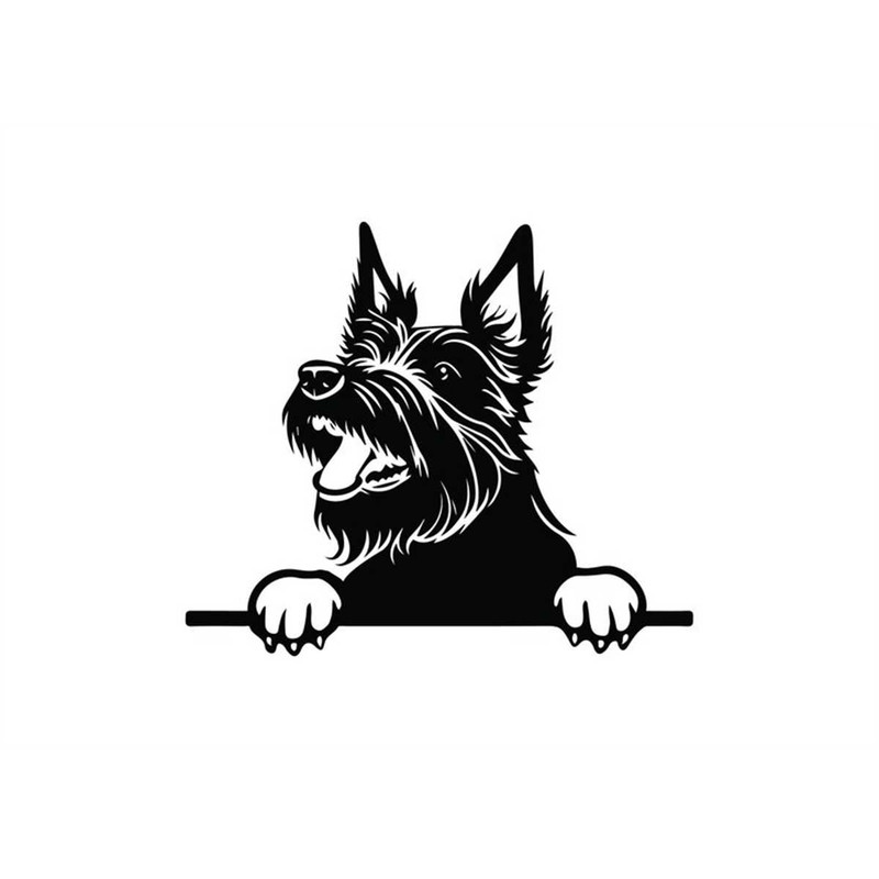 MR-128202315643-peeking-scottish-terrier-svg-peeking-scottish-terrier-image-1.jpg