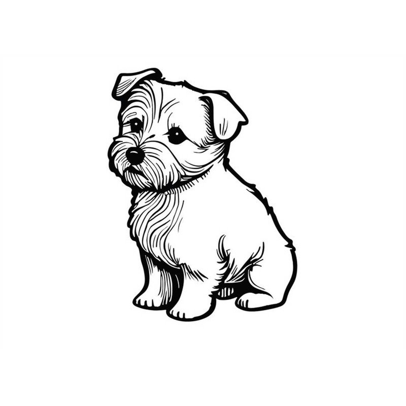 MR-12820232344-bichon-frise-svg-bichon-frise-clipart-bichon-frise-svg-files-image-1.jpg