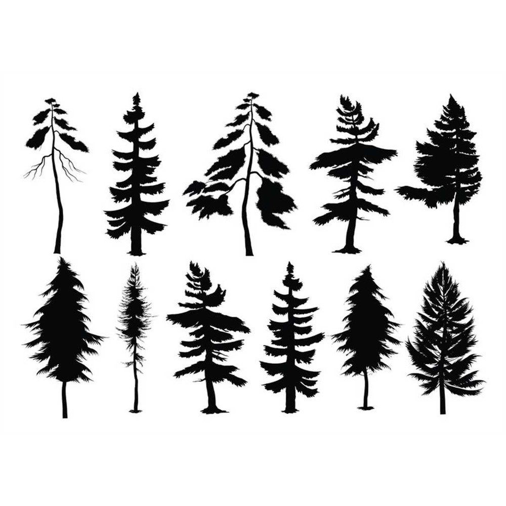 MR-12820232158-evergreen-pine-tree-svg-evergreen-pines-svg-files-for-cricut-image-1.jpg