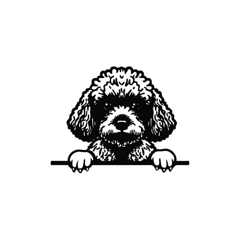 MR-128202322432-peeking-poodle-svg-peeking-poodle-clipart-peeking-poodle-svg-image-1.jpg