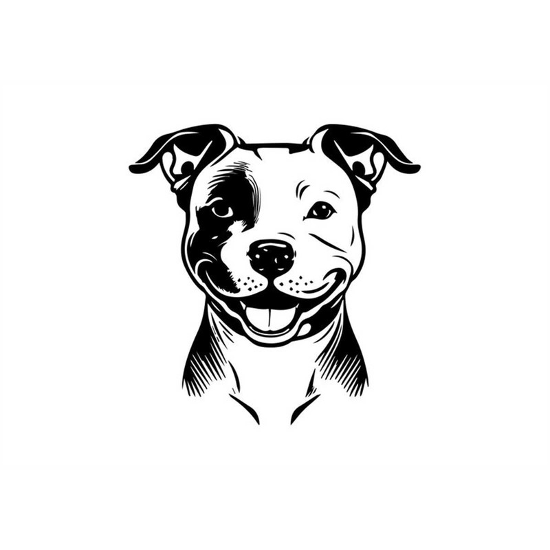 MR-128202322736-pitbull-svg-pitbull-clipart-pitbull-svg-files-for-cricut-image-1.jpg
