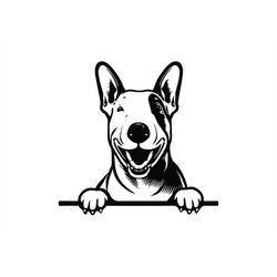 peeking bull terrier svg, peeking bull terrier clipart, peeking bull terrier dog svg files for cricut