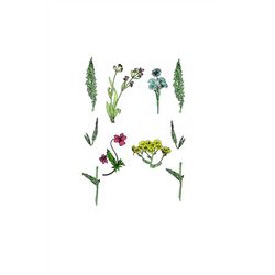 wild flowers svg, wild flowers, svg, cricut, silhouette cameo, scanncut, design, svg cut files, wild flower svg, flowers