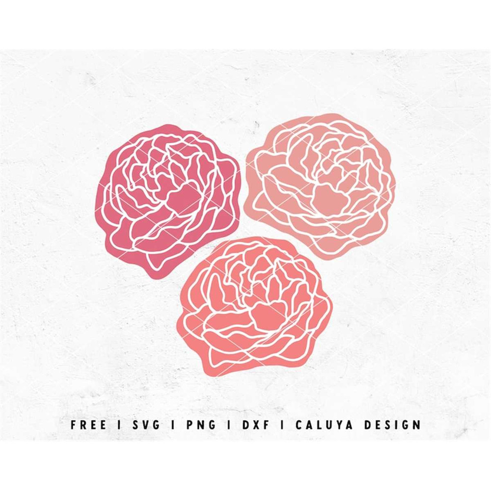 MR-12820233829-peony-svg-hand-drawn-flower-svg-rose-svg-spring-flower-image-1.jpg